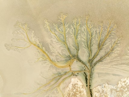 Abstract patterns at low tide in the marshland of the Nature Reserve La Breña y Marismas del