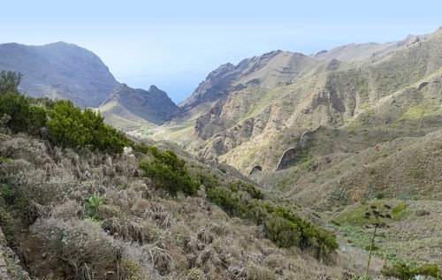 Mountain landscape between masca and Teno at Tenerife, Canary Islands, Spain