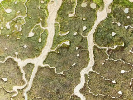 Abstract patterns of dry streams at low tide. In the marshland of the Bahía de Cádiz Nature Reserve