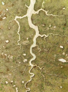 Abstract patterns of dry streams at low tide. In the marshland of the Bahía de Cádiz Nature Reserve