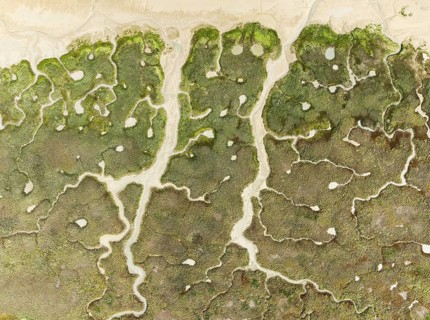 Abstract patterns of dry streams at low tide. In the marshland of the Bahía de Cádiz Nature Reserve
