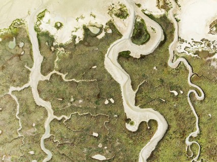 Abstract patterns of dry streams at low tide. In the marshland of the Bahía de Cádiz Nature Reserve