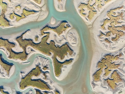 Network of channels and streams at low tide. In the marshland of the Bahía de Cádiz Nature Reserve.