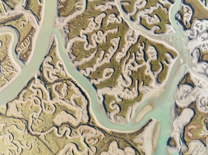 Network of channels and streams at low tide. In the marshland of the Bahía de Cádiz Nature Reserve.