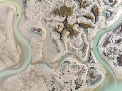 Network of channels and streams at low tide. In the marshland of the Bahía de Cádiz Nature Reserve.