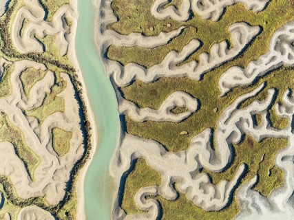 Network of channels and streams at low tide. In the marshland of the Bahía de Cádiz Nature Reserve.
