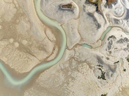 Network of channels and streams at low tide. In the marshland of the Bahía de Cádiz Nature Reserve.
