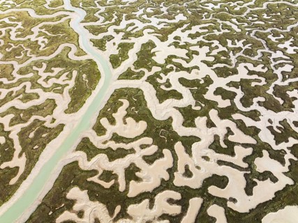 Network of channels and streams at low tide. In the marshland of the Bahía de Cádiz Nature Reserve.