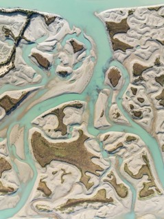 Network of channels and streams at low tide. In the marshland of the Bahía de Cádiz Nature Reserve.