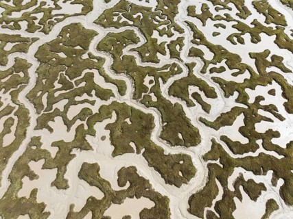Network of dry channels and streams at low tide. In the marshland of the Bahía de Cádiz Nature