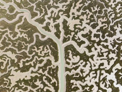 Network of channels and streams at low tide. In the marshland of the Bahía de Cádiz Nature Reserve.