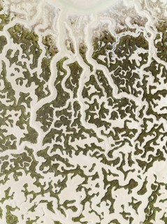 Network of dry channels and streams at low tide. In the marshland of the Bahía de Cádiz Nature