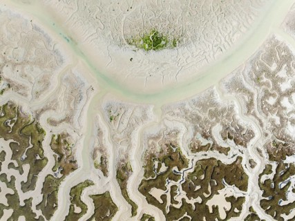 Network of dry channels and streams at low tide. In the marshland of the Bahía de Cádiz Nature