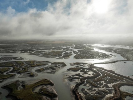 Network of channels and streams at low tide. In the marshland of the Bahía de Cádiz Nature Reserve.