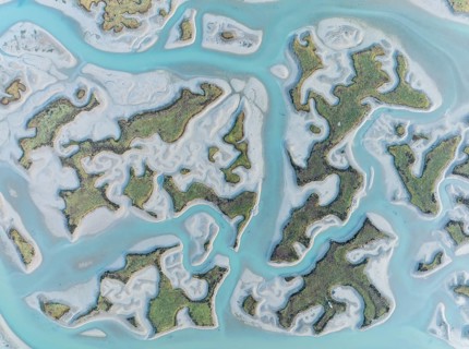 Network of channels and streams at low tide. In the marshland of the Bahía de Cádiz Nature Reserve.