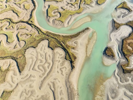 Network of channels and streams at low tide. In the marshland of the Bahía de Cádiz Nature Reserve.