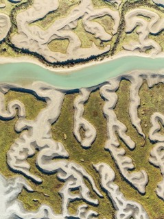Network of channels and streams at low tide. In the marshland of the Bahía de Cádiz Nature Reserve.