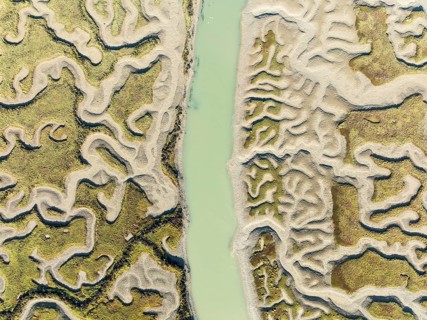 Network of channels and streams at low tide. In the marshland of the Bahía de Cádiz Nature Reserve.