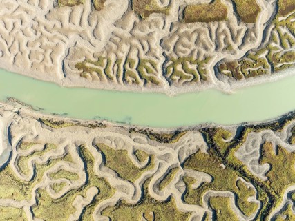 Network of channels and streams at low tide. In the marshland of the Bahía de Cádiz Nature Reserve.