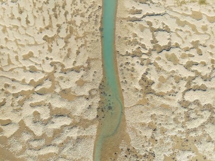 Network of channels and streams at low tide. In the marshland of the Bahía de Cádiz Nature Reserve.