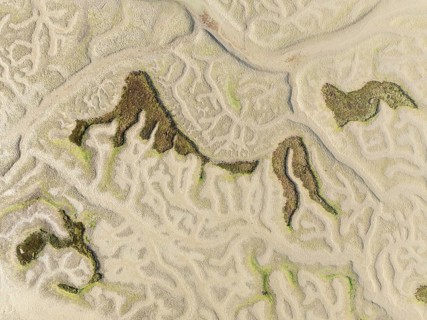 Network of dry channels and streams at low tide. In the marshland of the Bahía de Cádiz Nature