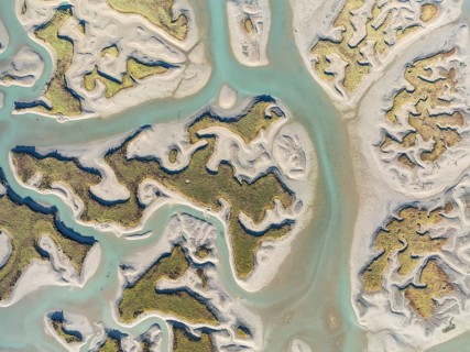 Network of channels and streams at low tide. In the marshland of the Bahía de Cádiz Nature Reserve.