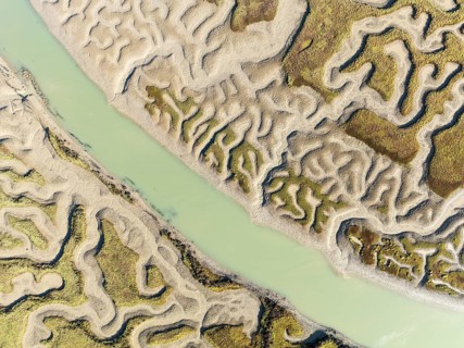 Network of channels and streams at low tide. In the marshland of the Bahía de Cádiz Nature Reserve.