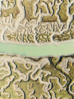 Network of channels and streams at low tide. In the marshland of the Bahía de Cádiz Nature Reserve.