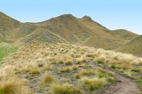 Impression around the Lindis Pass at the South Island of New Zealand