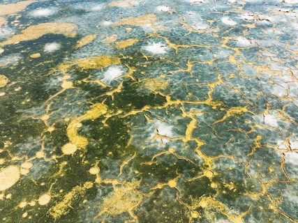 Abstract patterns in the shallow water of a saline pond in the marshland of the Bahía de Cádiz