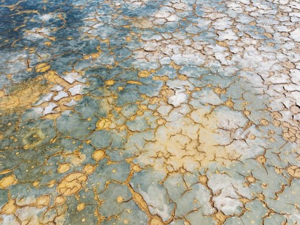 Abstract patterns in the shallow water of a saline pond in the marshland of the Bahía de Cádiz