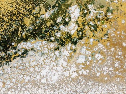 Abstract patterns in the shallow water of a saline pond in the marshland of the Bahía de Cádiz