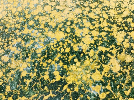 Abstract patterns in the shallow water of a saline pond in the marshland of the Bahía de Cádiz