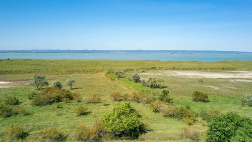 Sunny impression around Podersdorf am See at Lake Neusiedl in Burgenland in Austria