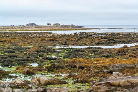 Coastal scenery around Penmarch in the Finistere department of Brittany in France