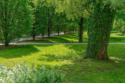 Spring time scenery around a park in Öhringen, a town in the Hohenlohe district in Southern Germany