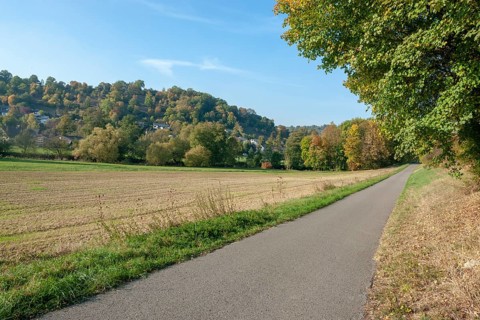 Idyllic rural cycle path in Hohenlohe at autumn time