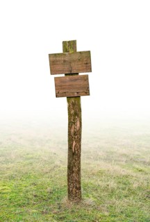 Wooden post near Olpenitz in Schleswig-Holstein, Germany, gradient isolated in white back