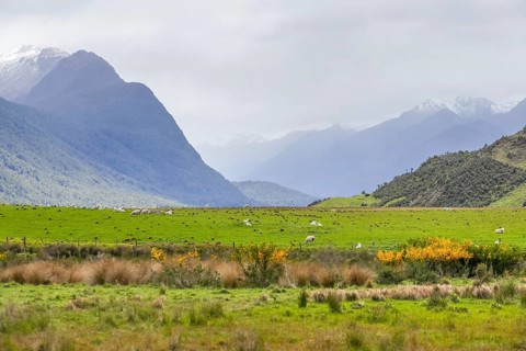Landscape around Dunedin at the South Island of New Zealand