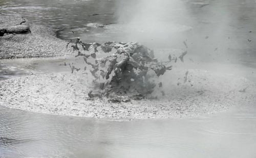 Detail at a geothermal area named Waiotapu in New Zealand