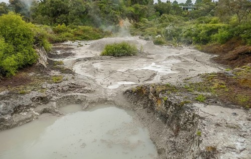 Scenery around the Geothermal Valley Te Puia in New Zealand