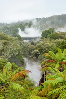 Scenery around the Geothermal Valley Te Puia in New Zealand