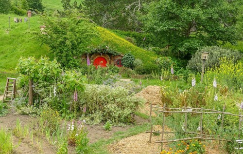 Idyllic scenery at The Shire represented by a region near Matama at the North Island of New Zealand