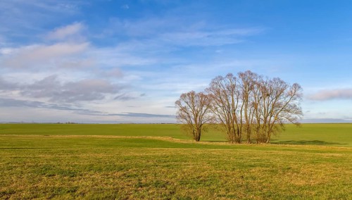 Idyllic rural scenery with meadow and trees in Hohenlohe, an area in Southern Germany at winter