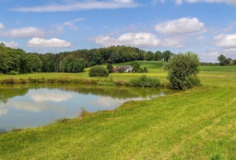 Small lake around Wiesenfelden in the Bavarian Forest in southern Germany at summer time