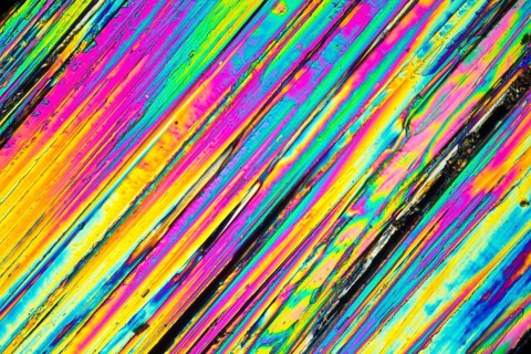 Microscopic shot of urea micro crystals in polarized light