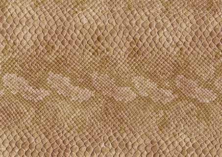 Full frame scaled abstract brown patterned reptile skin surface