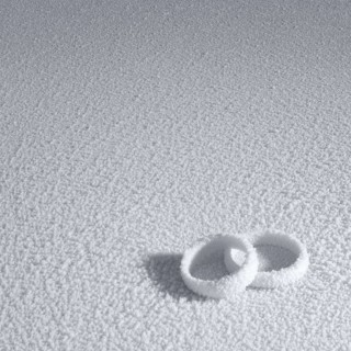 Studio photography of two frosted wedding rings in cold ambiance