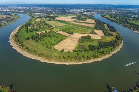 Aerial view, nature reserve Himmelgeister Rheinbogen, meadows and fields and green trees,