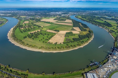 Aerial view, nature reserve Himmelgeister Rheinbogen, meadows and fields and green trees,